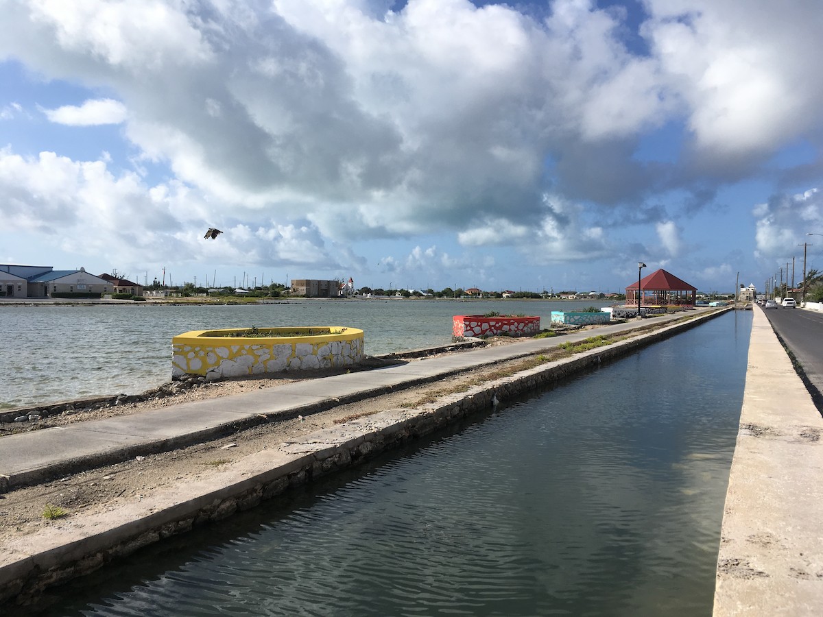 Osprey - ML105010601