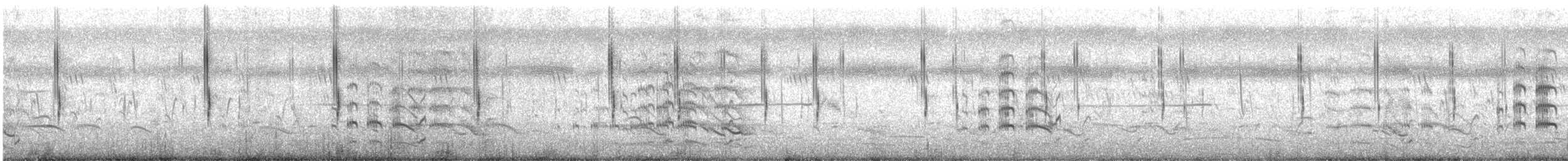 Cisticole des joncs - ML105012051