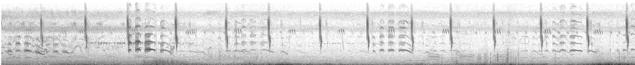 Cisticole des joncs - ML105012081