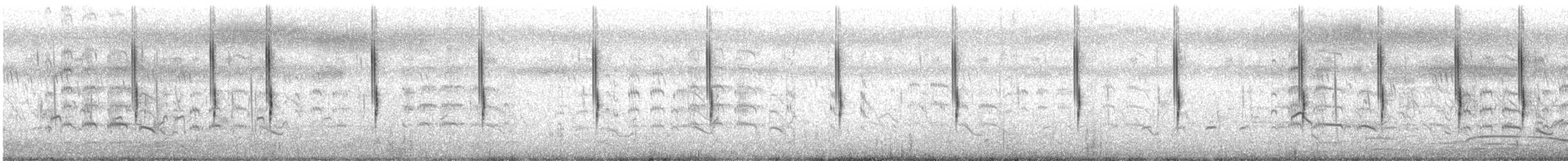 Cisticole des joncs - ML105012101