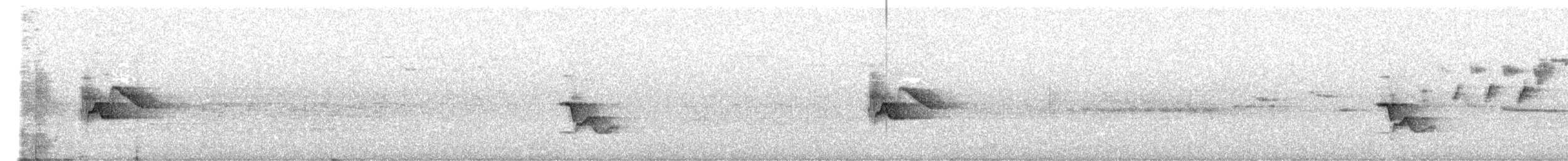 Сероголовый виреон - ML105013861