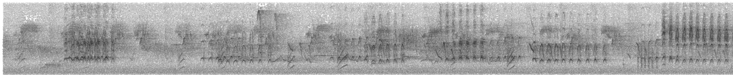 lundtrupial - ML105015321