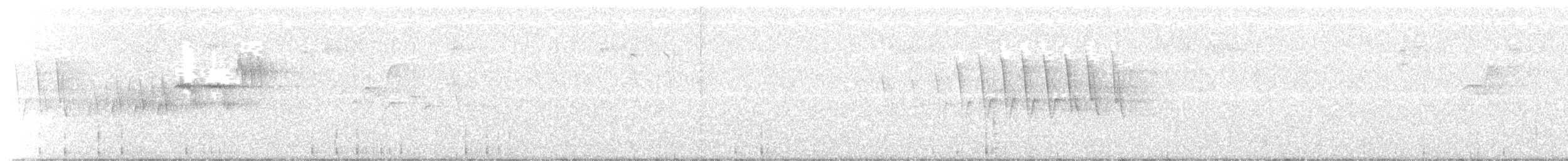 Hermit Warbler - ML105020281