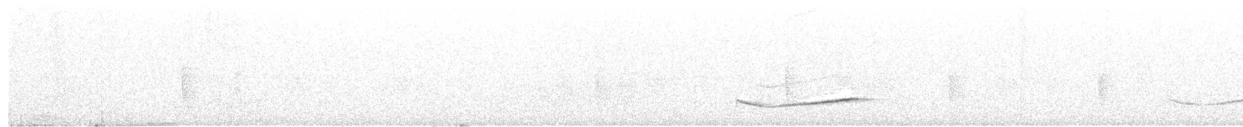 Cossyphe à poitrine blanche - ML105045021