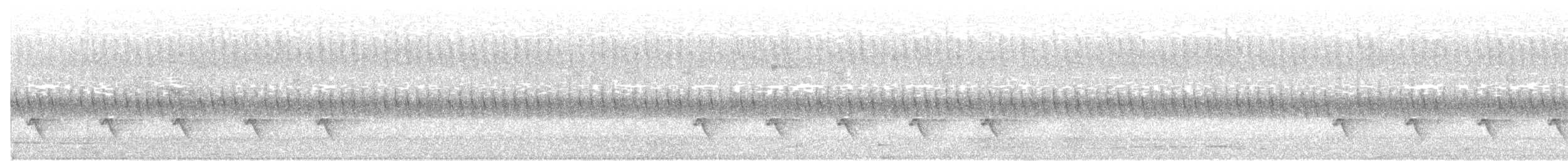 ハシナガイロムシクイ（moreaui） - ML105048911