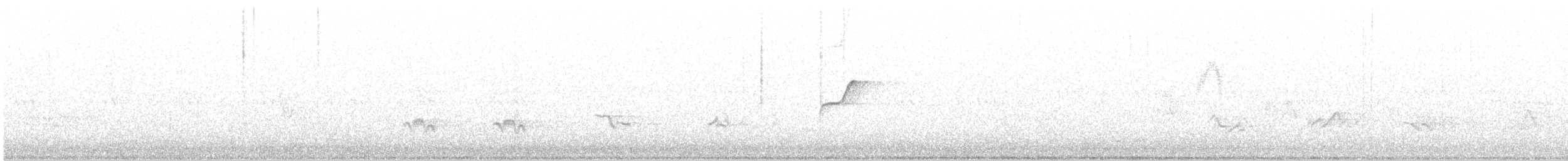 Moucherolle obscur (difficilis x hellmayri) - ML105056711