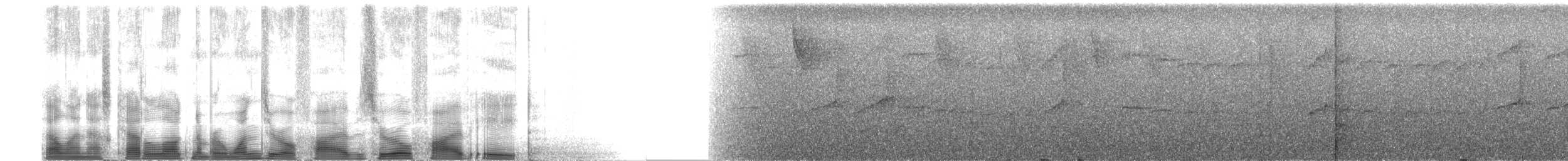 Тиран-карлик буроголовий - ML105058