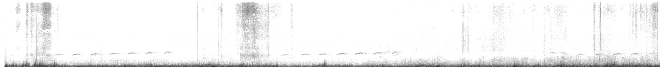 Fork-tailed Drongo-Cuckoo - ML105076741