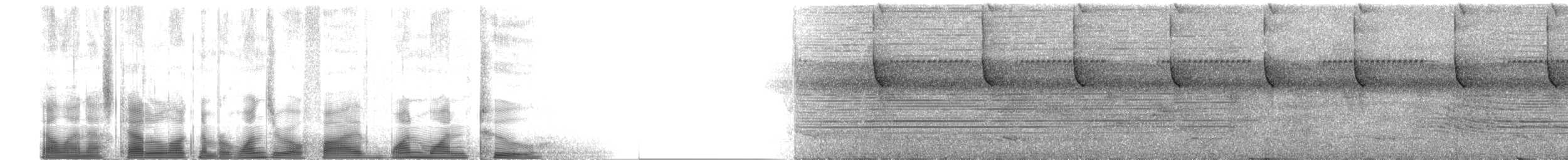 Kara Başlı Todi Sinekkapanı - ML105112