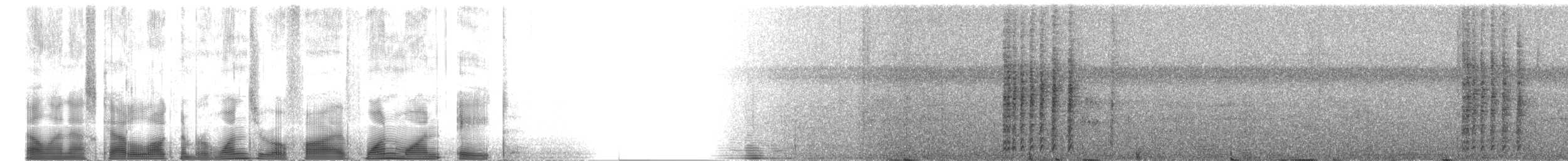 Kara Karınlı Çıtkuşu - ML105118