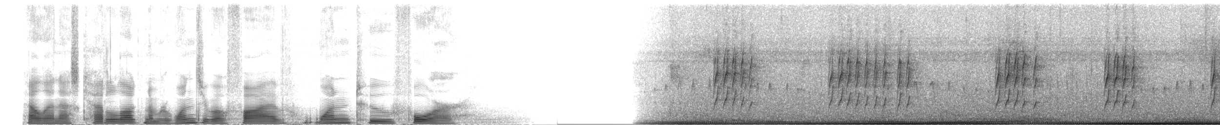 White-flanked Antwren (White-flanked) - ML105124
