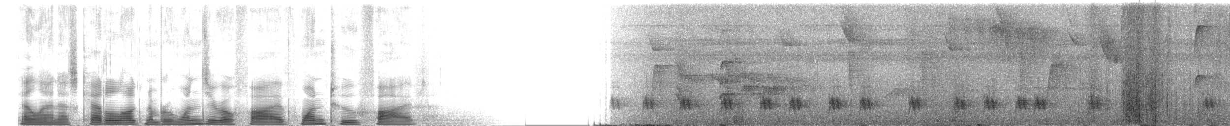 Ak Gerdanlı Çıtkuşu [leucosticta grubu] - ML105125