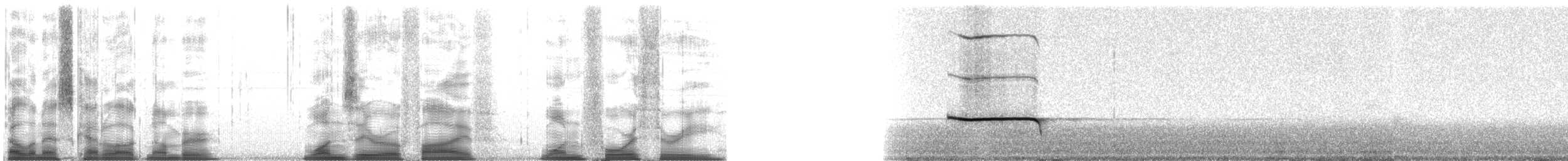 Marmotta delle Montagne Rocciose - ML105143