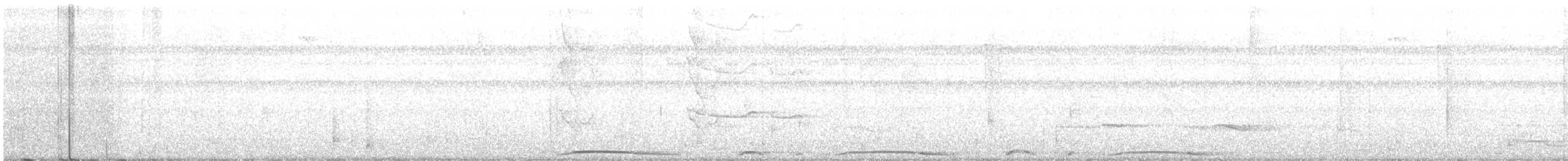 holub neotropický - ML105151811