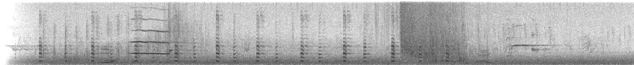 Humboldtscharbe - ML105180331