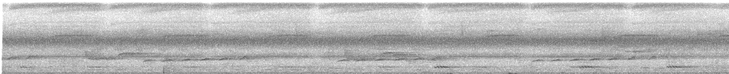 Вилохвостая дронговая кукушка - ML105184751