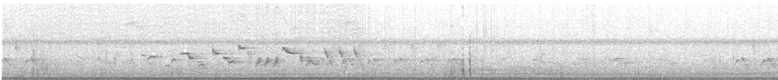 Oriole des vergers - ML105187651