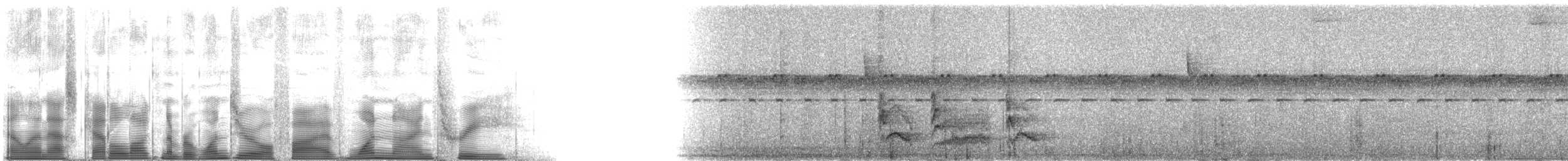 Troglodyte moine - ML105193