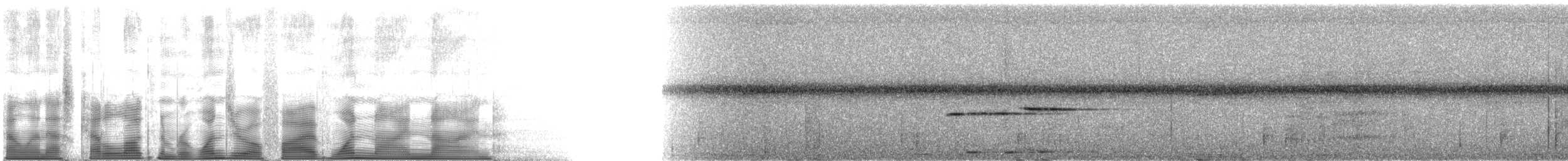 Дрізд-короткодзьоб сірий [група fuscater] - ML105199