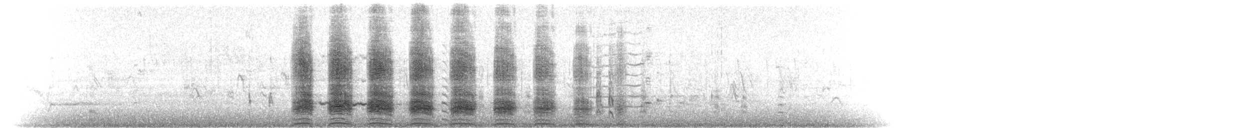 Stockente - ML105200981