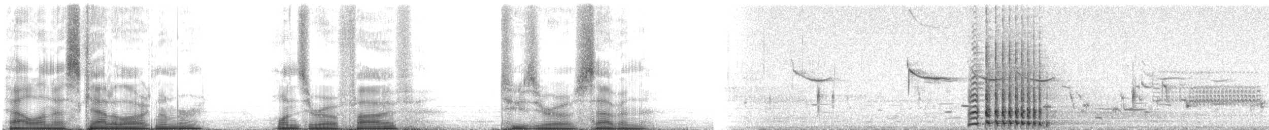 Орог тогоруу - ML105207