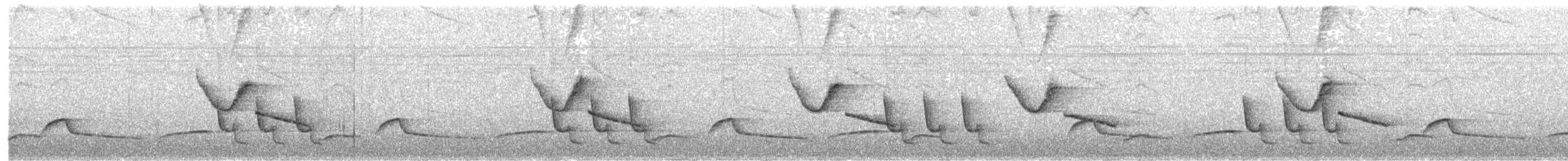 Troglodyte coraya - ML105224571