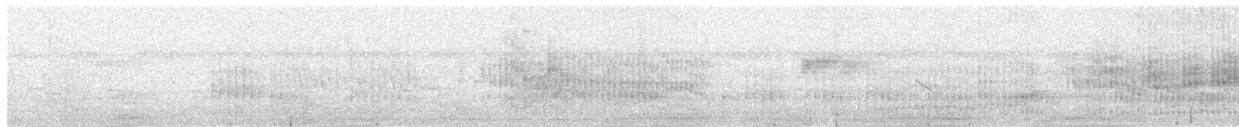 Белоухая якамара - ML105226071