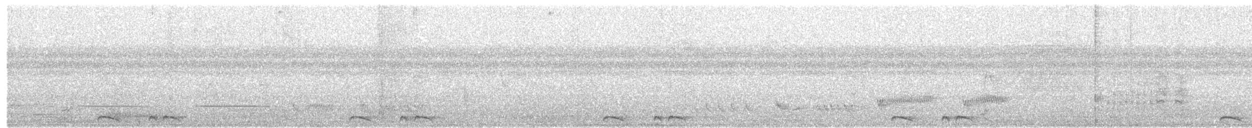 holoubek šupinkový - ML105228341