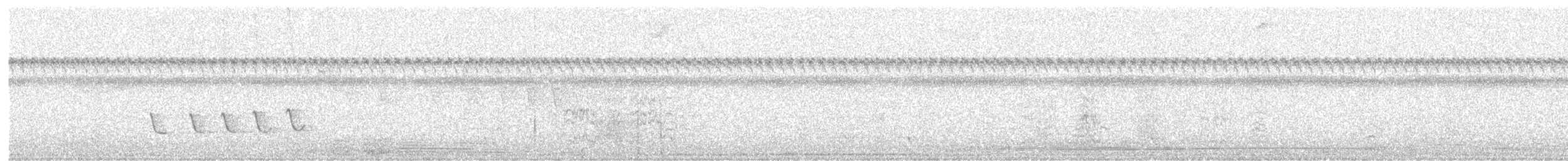 Белокрылый бекард - ML105228471