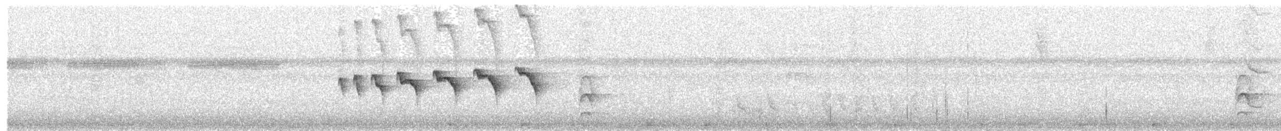 Braunscheitel-Ameisenvogel - ML105229711