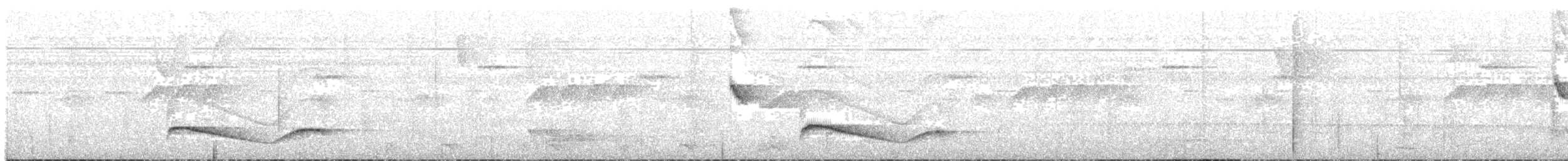 Dusky-tailed Flatbill - ML105231611