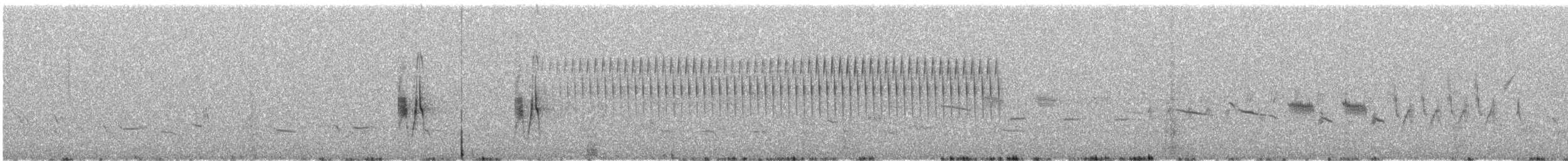 Trockenbusch-Schnäppertyrann - ML105235871