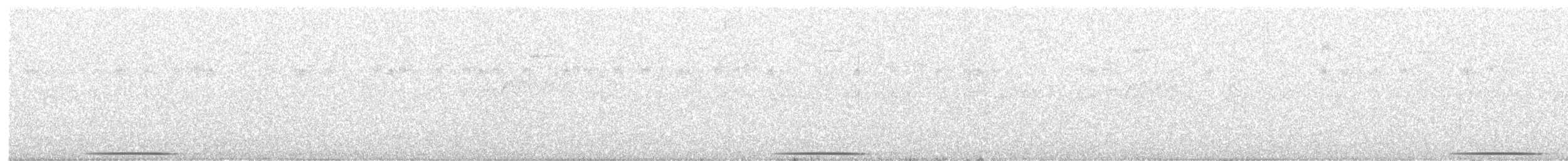 holub šedočelý - ML105246851