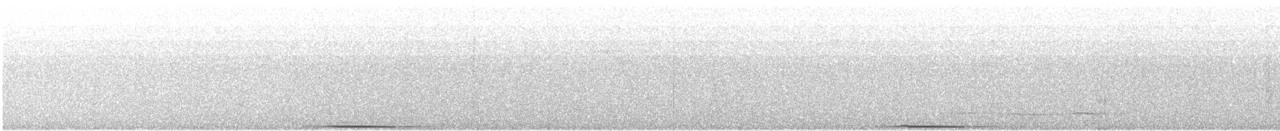 Lined Quail-Dove - ML105247051