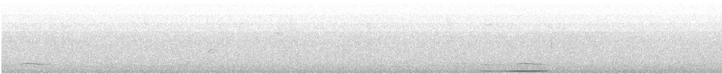 holub bledočelý - ML105247261