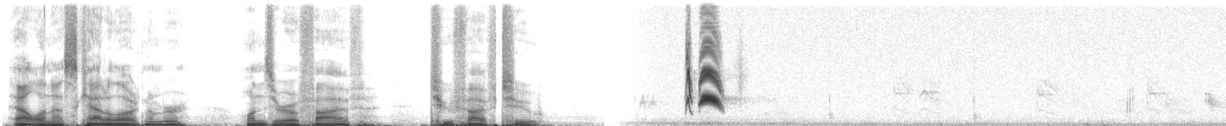 Cassin's Kingbird - ML105252