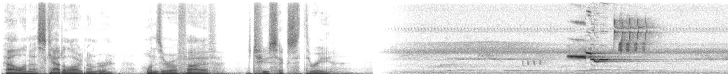 Orman Ardıcı - ML105263