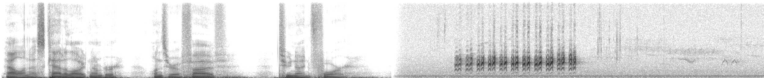 Beyaz Göğüslü Sıvacı - ML105294