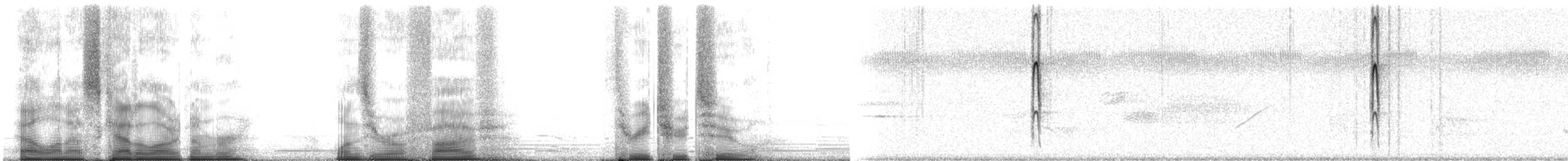 セジロコゲラ（pubescens／medianus） - ML105322