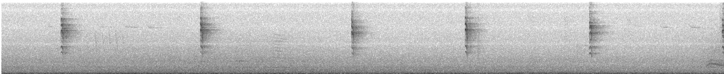 Wilson's Warbler - ML105329951