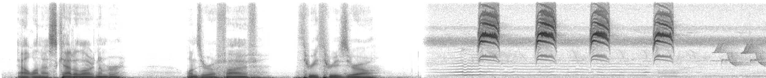 Gökrengi Bitkuşu (caerulea) - ML105330