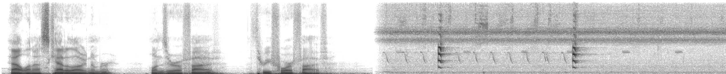 Common Gallinule (American) - ML105345