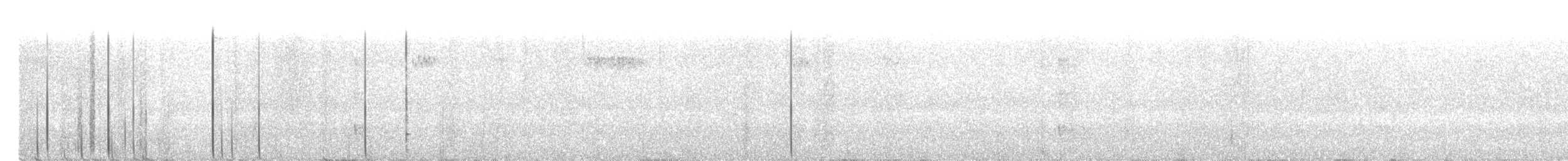 Schwarzrückenspecht - ML105405201