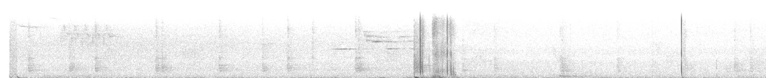 Einsiedler-Musendrossel - ML105405831
