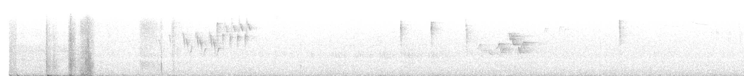 Fichtenwaldsänger - ML105405891