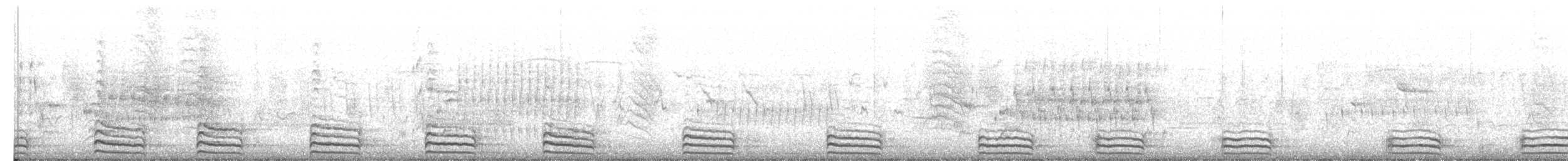 Gallinule d'Amérique (groupe galeata) - ML105421961