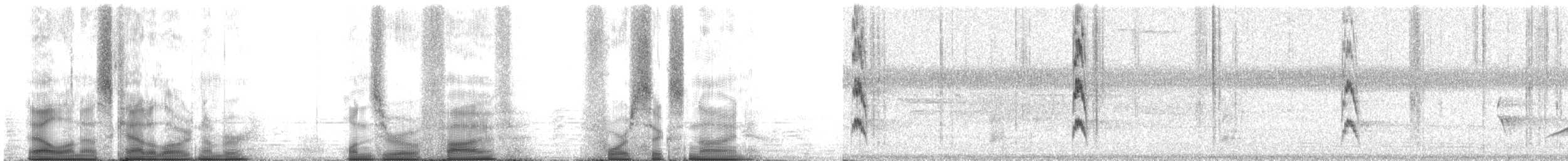 Red-cockaded Woodpecker - ML105469