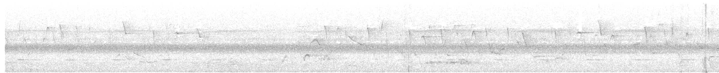 Pale Batis - ML105475591