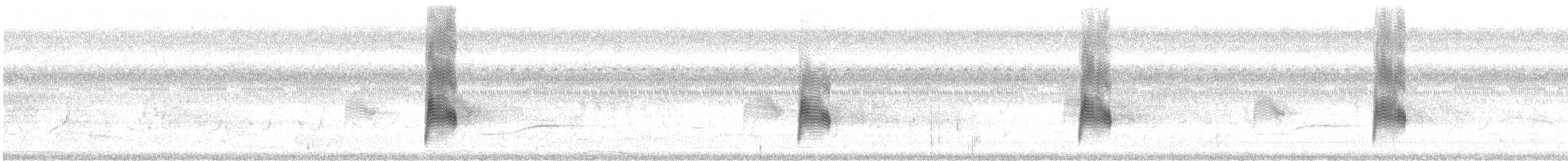 Falkennachtschwalbe - ML105476931