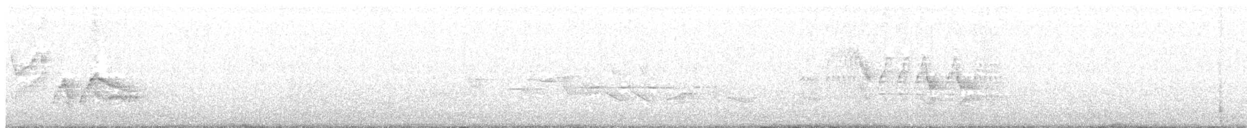 Дрізд-короткодзьоб малий - ML105524451